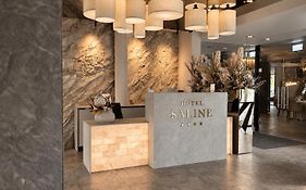Hotel Saline